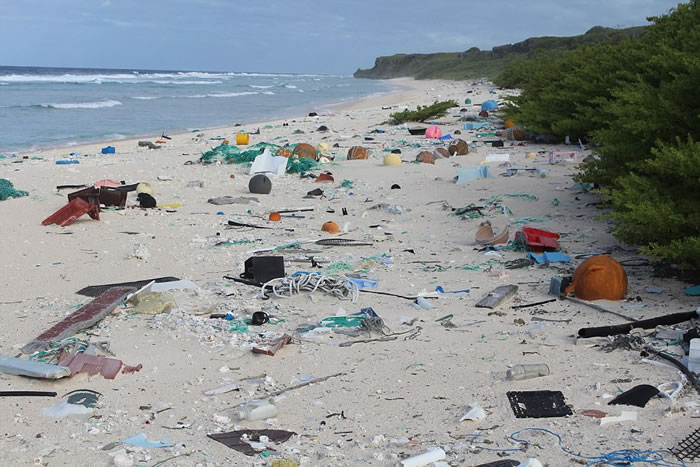 杳无人烟的南太平洋亨德孙岛怎么会有高密度的垃圾量？