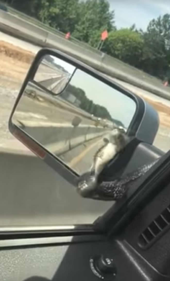 �������ӿ���;�о�Ȼ����һ���ߴ����������������