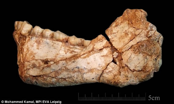 摩洛哥发现最古老的智人化石