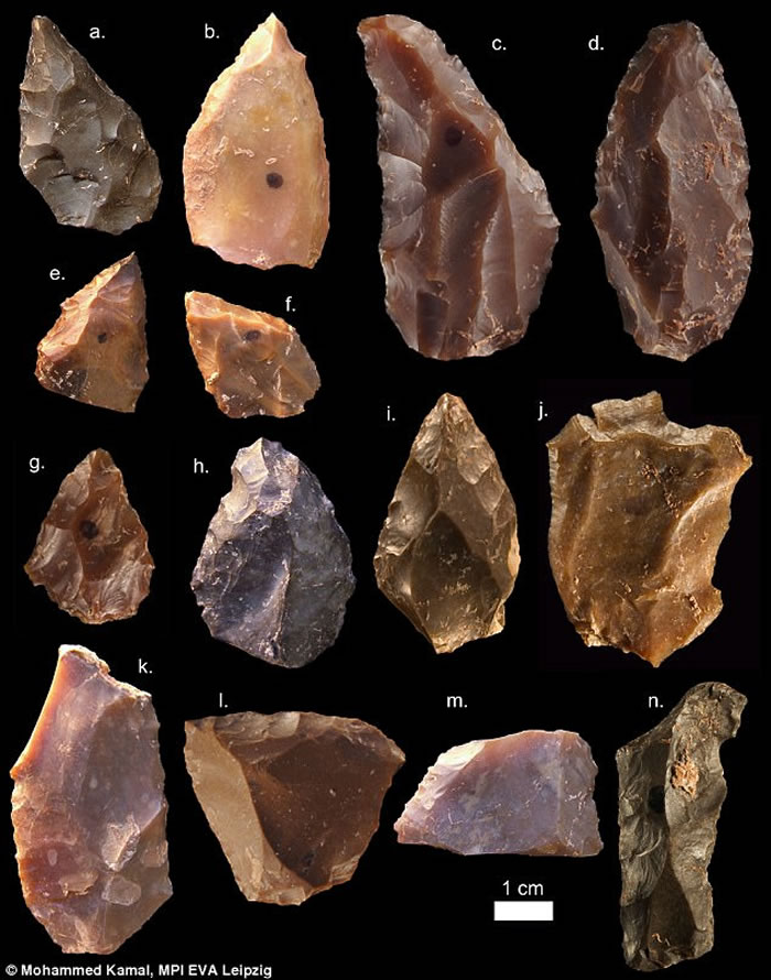 摩洛哥发现最古老的智人化石