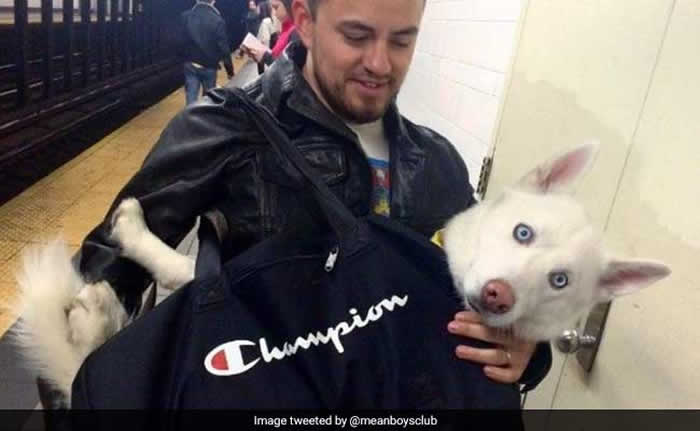 ����ŦԼ��������������ֻҪװ�������ϳ��� �����Ǵ���ëС�����Ȥζ����������