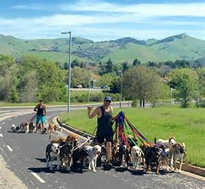 ��������ѵȮԱ˫��ץ��ǣ����39ֻ��