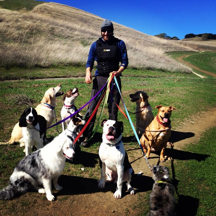 ��������ѵȮԱ˫��ץ��ǣ����39ֻ��