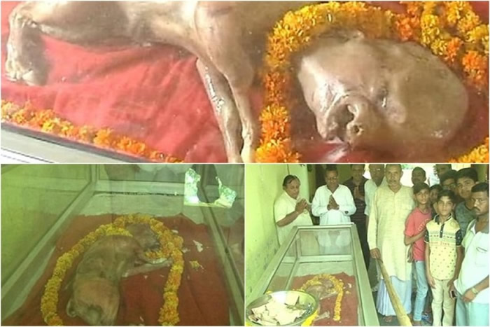 Сţ��ţ����������ͷ­����ȴ�����ࣻ������Ϊ����������ˡ�������ͼ����