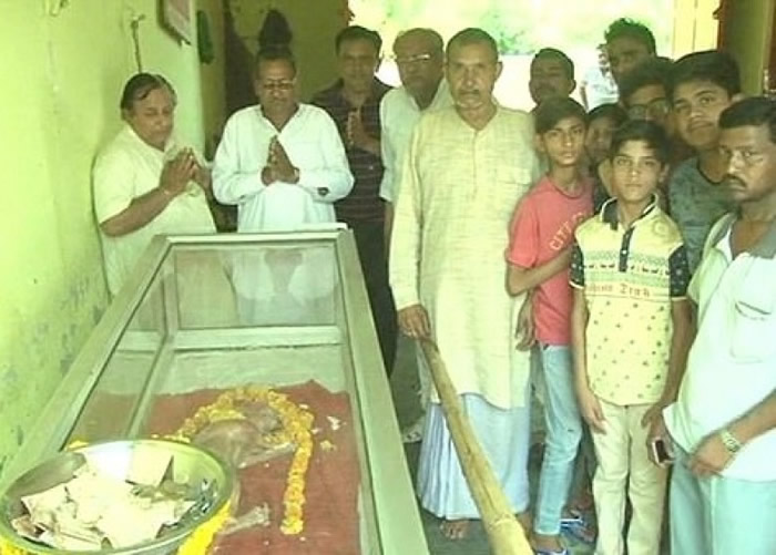 ������ΪСţ��������ˡ�