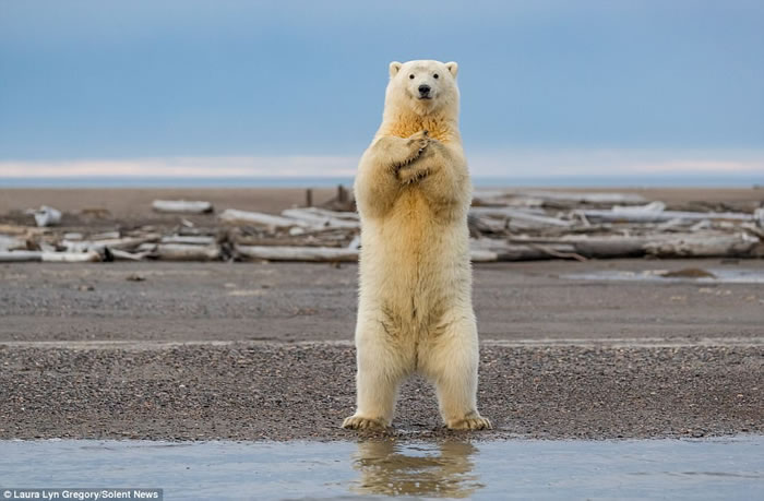 ��������˹�Ӵ��ȱ����ܰ����� һ�������վ��������