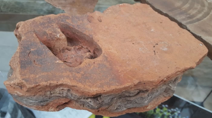 ͬʱ��������һ��ש������¹��ӡ��