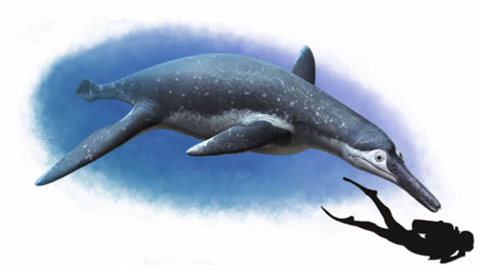 ˹ֿʱжPilosaur Luskhan itilensis 纣