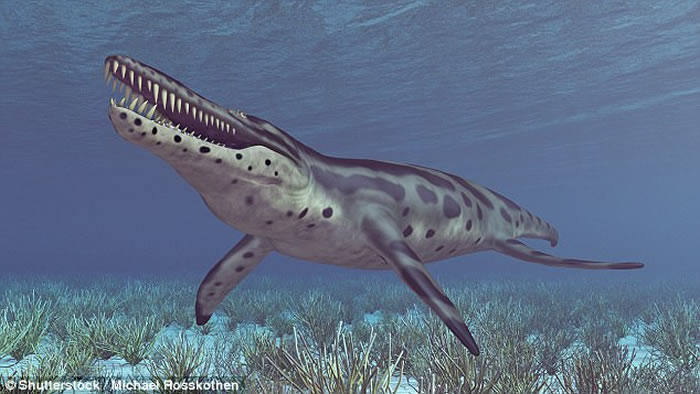 ˹ֿʱжPilosaur Luskhan itilensis 纣