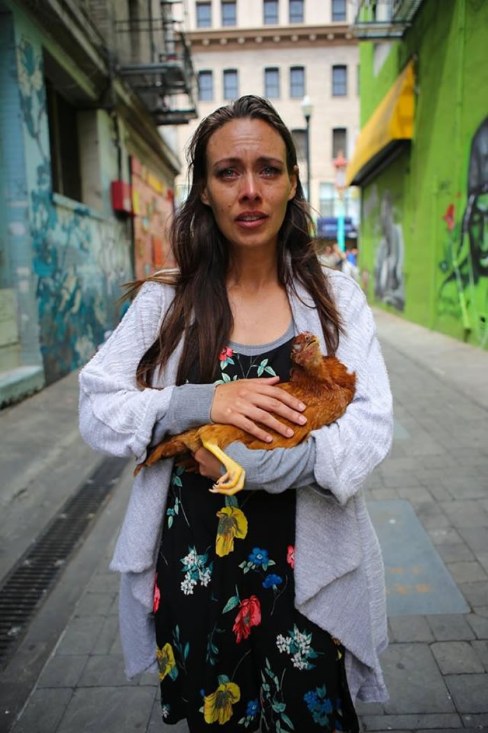 ��ΰ���º���Ƭ�����¼���