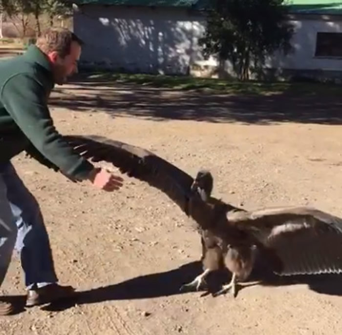 ����͢һֻͺӥ�ſ��������ӭ�Ӷ�ʱ��������