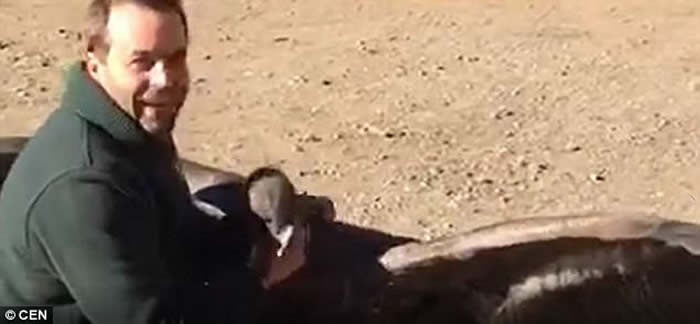 ����͢һֻͺӥ�ſ��������ӭ�Ӷ�ʱ��������