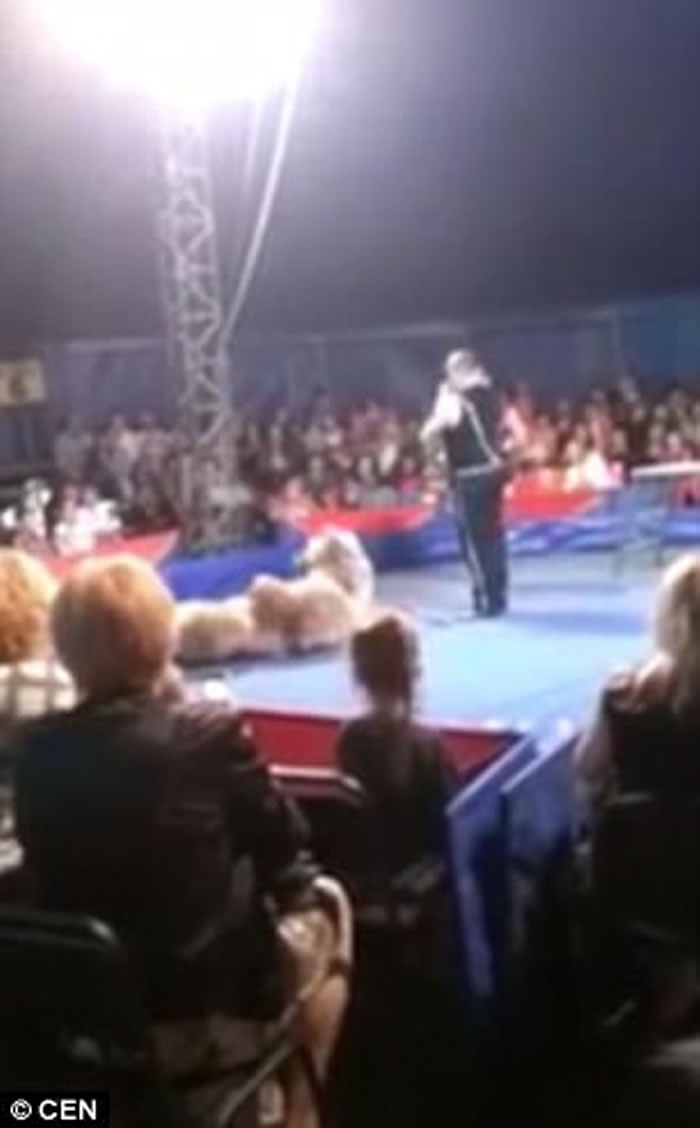 �ڿ����׶�������Ϸ�ű���;�� ��ͻȻ�����˹���