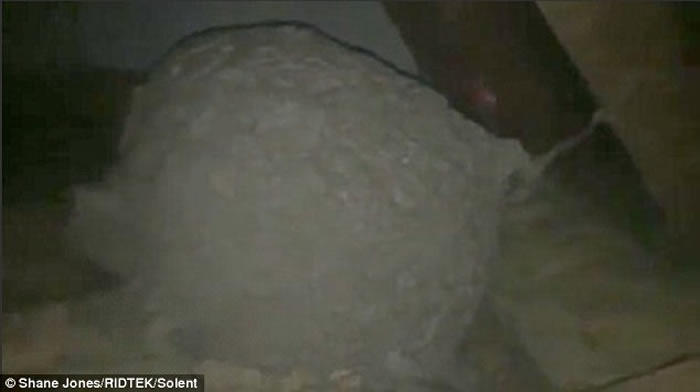 Ӣ�����տ�400����ʷ�ķ�����ҵ�ض�����ͷ䳲 ֱ����1��