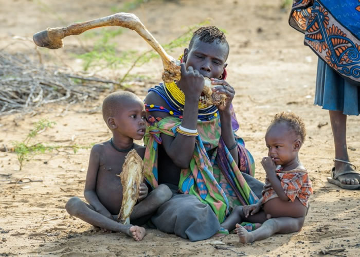 ���Ƕ�����ҽ��������������ġ�