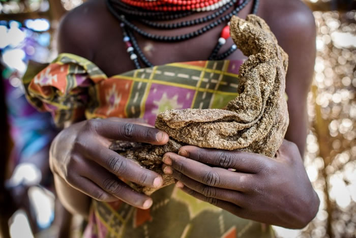 ����������Ҫ��ʳ��Ԯ��