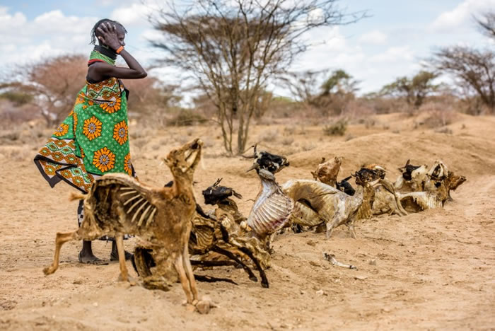 �����˻���Ӫ��������