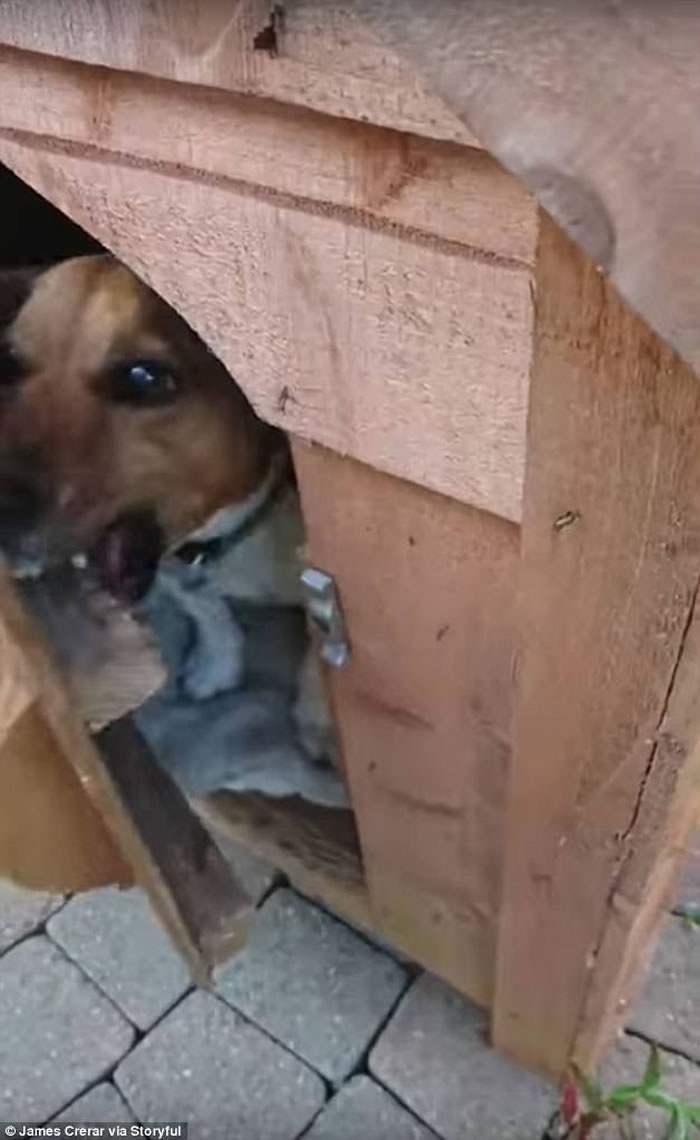 ������������ҧ�ű� ��׼���˿�������