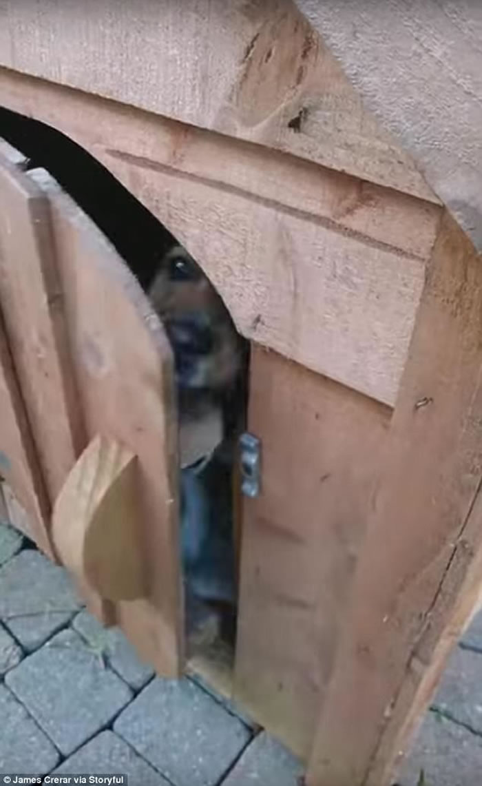 ������������ҧ�ű� ��׼���˿�������