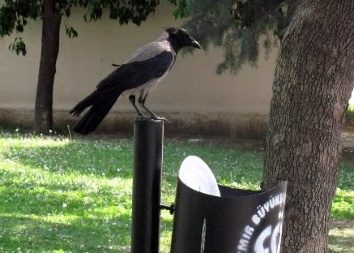 ��ѻ��ֽ��������ͲһĻ����Ϊ�����Ȼ���