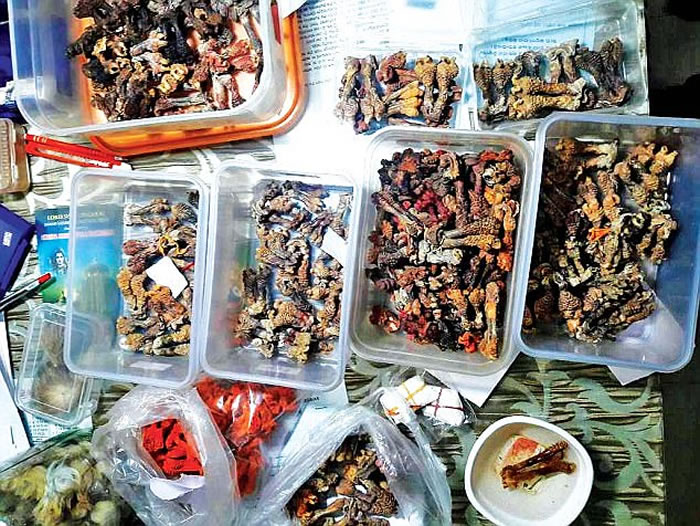 ӡųԱ桰ᡱֳ׳ Ǵɱ