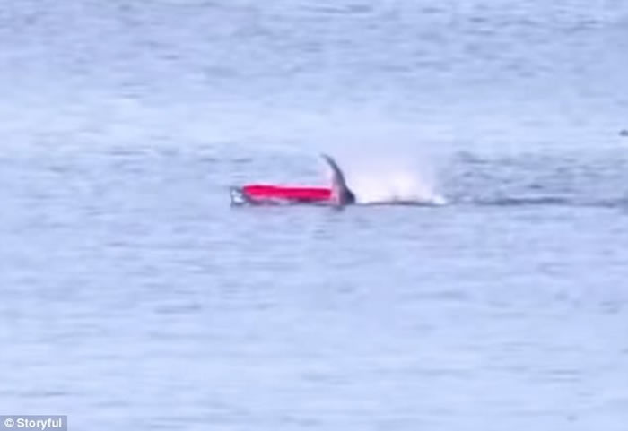 ��������ǱˮԱ���������廮��ľ��ʱͻ������Ϯ��