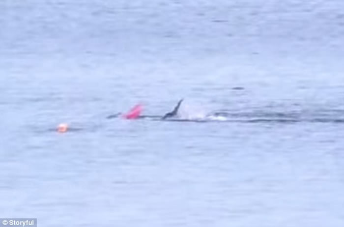 ��������ǱˮԱ���������廮��ľ��ʱͻ������Ϯ��