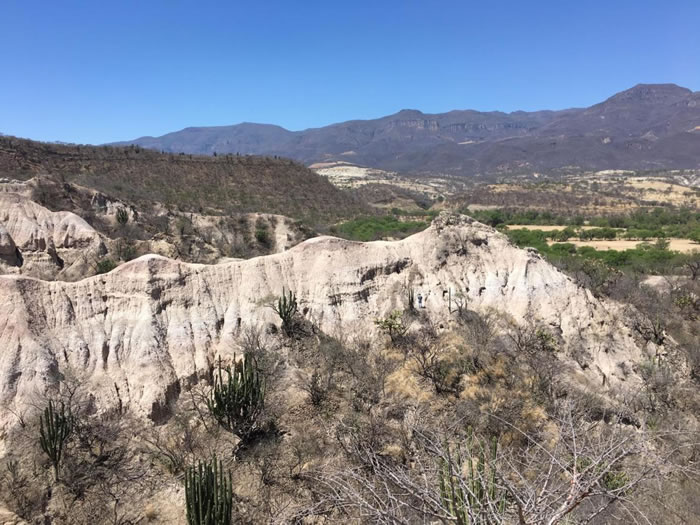 墨西哥胡奇皮拉盆地的化石遗址,古代水獭的牙齿就是在这里发现的。 PHOTOGRAPH BY JACK TSENG, UNIVERSITY AT BUFFALO