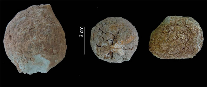 ��ͼΪ���Ը��������ɶ�Ѩ��һ��໯ʯ����ͼΪ����la Mina��ַ������໯ʯ����Ӱ��Antonio Pineda��IPHES