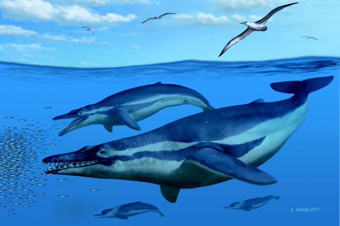 �����Ͽ��������ݷ���3000����ǰ�������뾨��ʯ ΪŪ�徨������ṩ���ӽ�