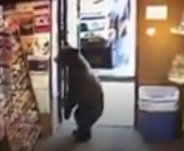 ��������˹����С�ܴ����̡����