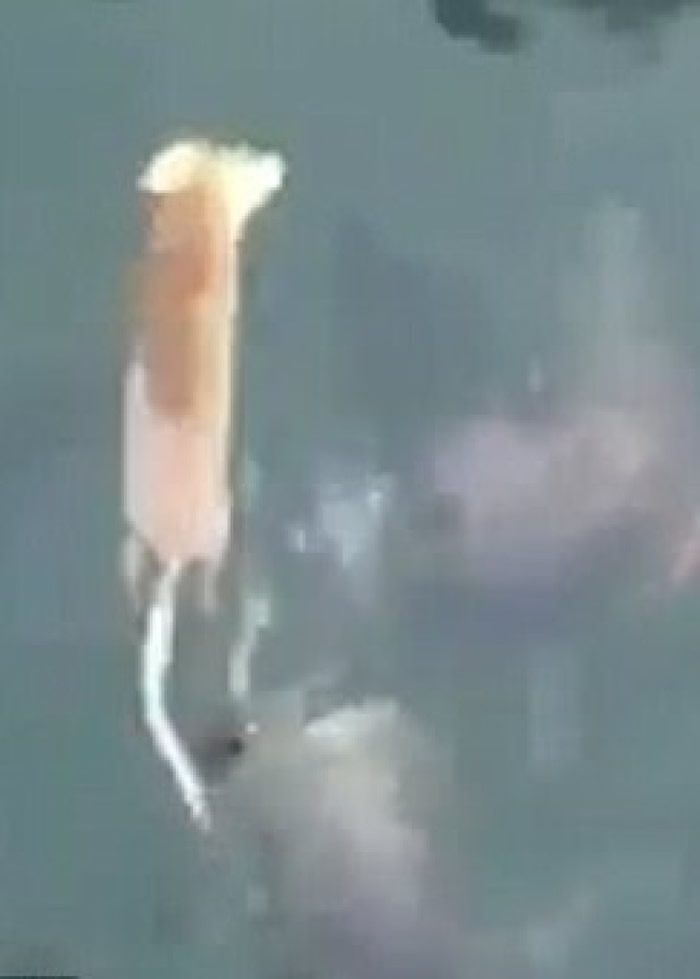 ����ͻȻ���������һ��ҧ��������ߡ�