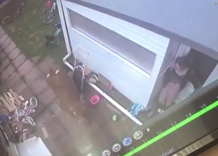 Ӣ����ţ����Ů�һ�԰