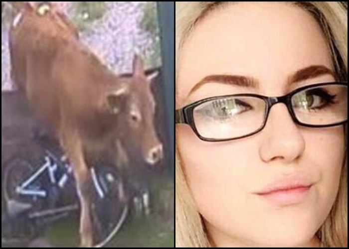 Ӣ����ţ����Ů�һ�԰