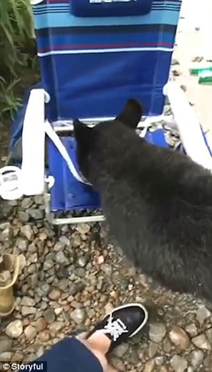 ������ά��������С������¶Ӫ�� �е�ʳ�е���