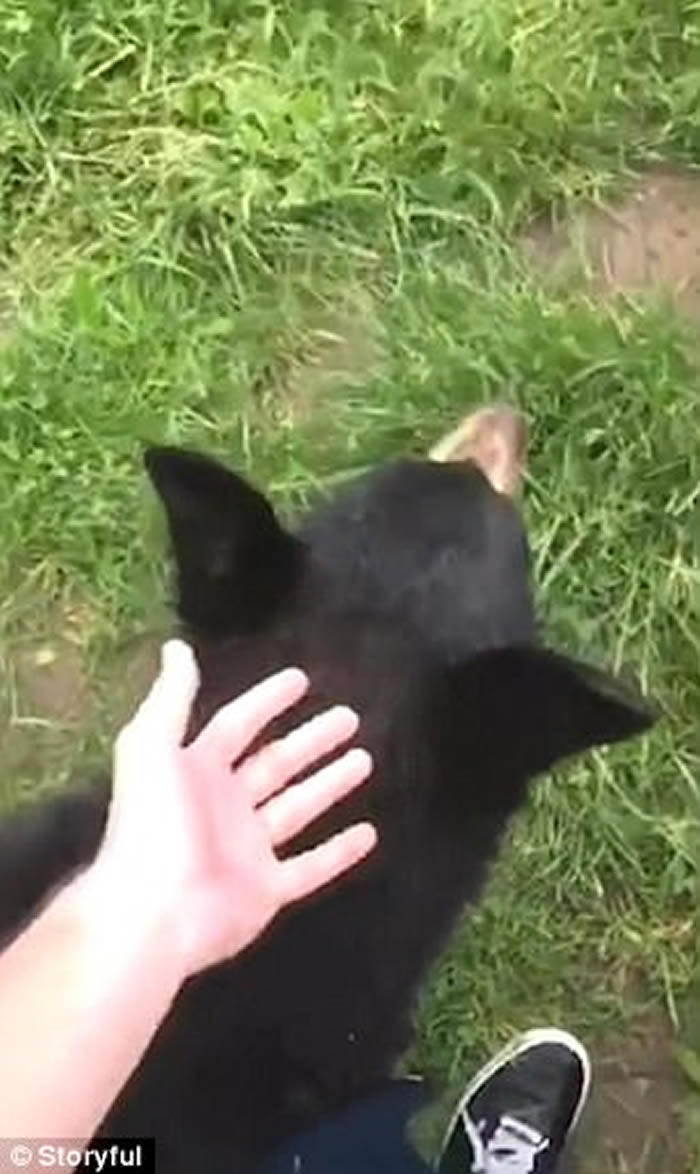 ������ά��������С������¶Ӫ�� �е�ʳ�е���