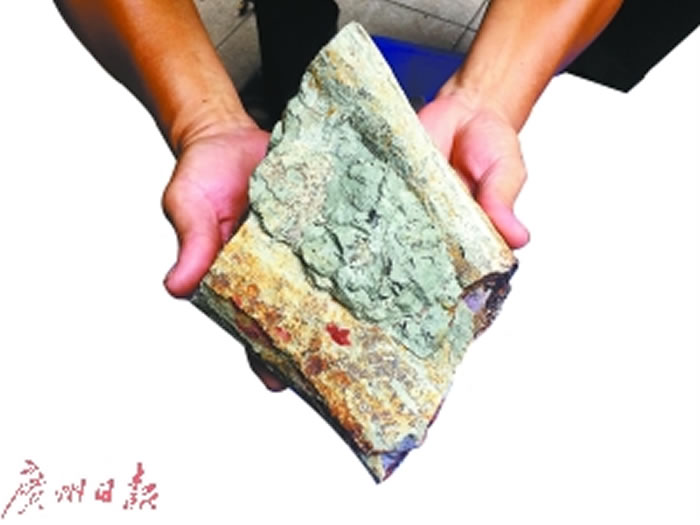 广东三水化石爱好者赵灿辉在四会大沙发现疑似恐龙骨骼化石