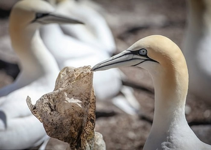 ������Ȼ��֪��Щ�����������к���