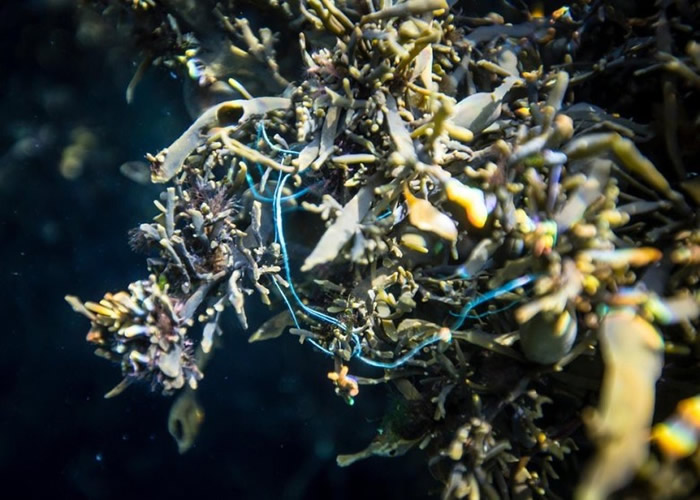 �����������಻�ض��á�