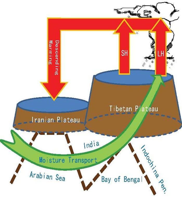 ظԭʸԭǿԼǵˮɵһ໥ϵͳTIPSʾͼ