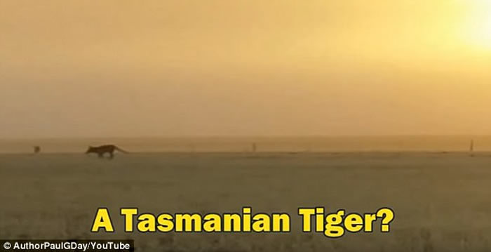 ��˹�����ǻ����������������ϲ�Լ�˰뵺�ĵ����81��Ĵ��ǣ�