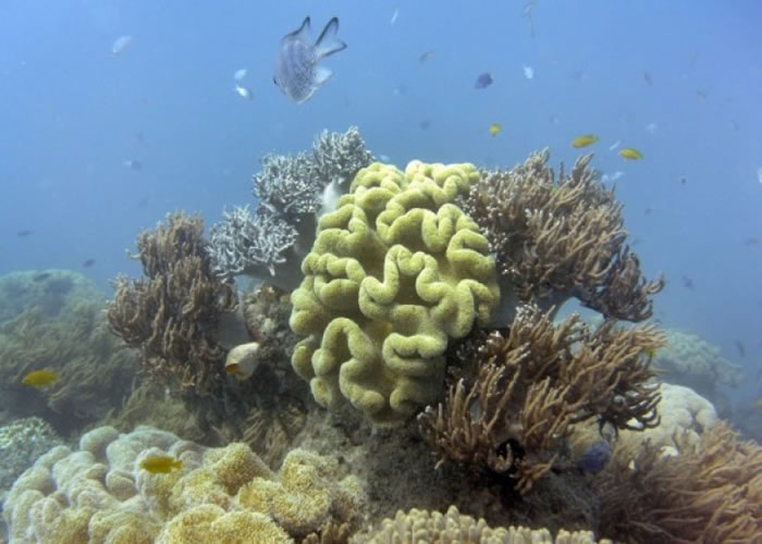 󱤽ἰüֵʮָߡͼƬ