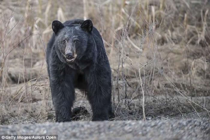 ��������˹�Ӱ���������16������μ�ɽ���ܲ�����;�в������ɱ��