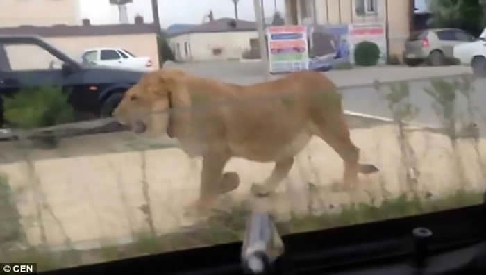 ˹Ｊ˹̹͹Ӱʨӵ ҡɢ