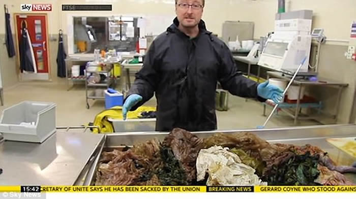 6米雄性柯氏喙鲸搁浅苏格兰斯凯岛死亡 肚内藏4公斤塑料袋