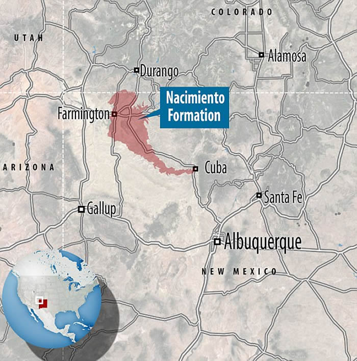 美国新墨西哥州发现6200万年前鼠鸟化石 恐龙灭绝后鸟类重新振作迅速走向多样化