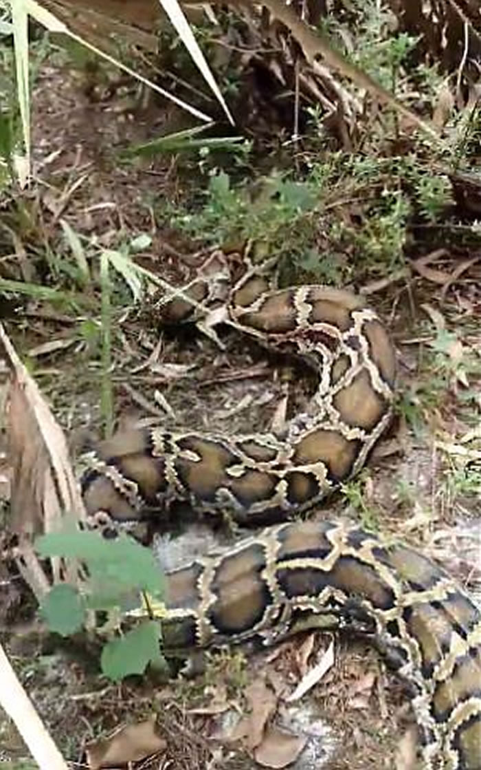 ����������������ӷ����Լҵ��򱻾�����ס Ϊ����8ǹ��������ɱ