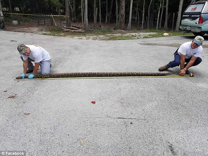 ����������������ӷ����Լҵ��򱻾�����ס Ϊ����8ǹ��������ɱ