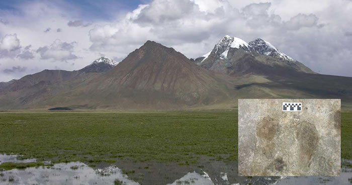 ����ռ�����ظ�ԭ��ʱ�����ǰ��Ϊ��Ҫ�缸ǧ�� Ҳ������1��2000��ǰ