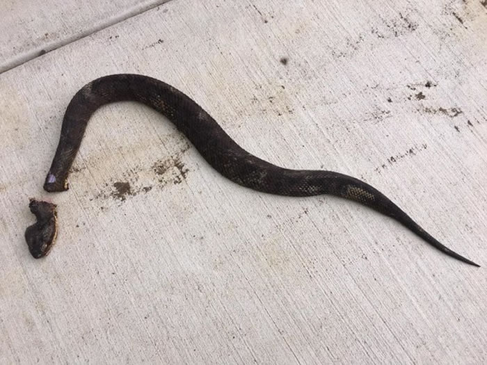 �ߵ�ͷ����ն���Է������ź�����